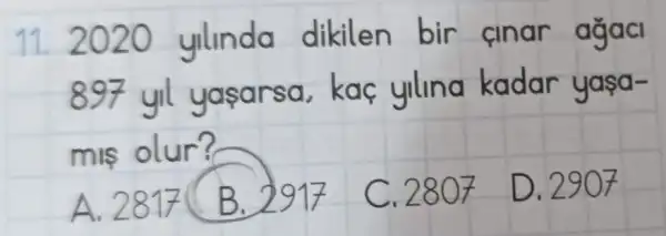 11. 2020 ylinda dikilen bir cinar agacl
897 yil yasa rsa, kaç yllina kadar uasa-
mis olur?
A. 2817 B. 2917 C. 28 of D. 2907