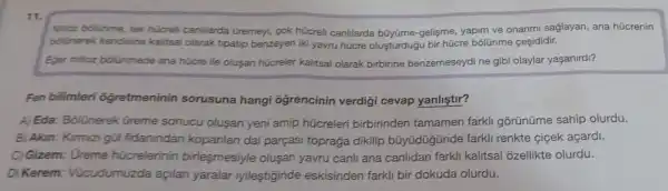 11.
Mitoz bolinme, tek hücreli canlilarda Gremeyi, cok hücreli canlilarda bũyüme -gelisme, yapim ve onanmi saglayan, ana hücrenin
bolunerek kendisine kalitsal olarak tipatip benzeyen iki yavru hücre olusturdugu bir hücre bôllünme cesididir.
Eger mitoz bolunmede ana hücre ile olusan hücreler kalitsal olarak birbirine benzemeseydi ne gibi olaylar yaşanirdi?
Fen bilimleri Ggretmeninin sorusuna hangi ôgrencinin verdigi cevap yanliştir?
A) Eda: Bolünerek Greme sonucu olusan yeni amip hücreleri birbirinden tamamen farkli gõrünüme sahip olurdu.
B) Akin: Kirmizi guil fidanindan kopanlan dal parçasi topraga dikilip büyüdügünde farkli renkte cicek açardi.
C) Gizem: Oreme hücrelerinin birlesmesiyle olusan yavru canli ana canlidan farkli kalitsal ozellikte olurdu.
D) Kerem:Vücudumuzda açilan yaralar iyilestiginde eskisinden farkli bir dokuda olurdu.