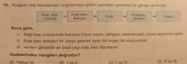 14. Asagida kalp hücresinden organizmaya giden aşamalari gosteren bir górsel verilmiştir.
Kalp kasi
hücresi
Kalp kasi
dokusu
Kalp
Dolasim
sistemi
Insan
Buna gore,
I. Kalp kasi dokusunda bulunan hücre sayisi, dolaşim sistemindeki hücre sayisina esittir.
II. Kalp kasi dokulari bir araya gelerek fark!bir organ da oluşturabilir.
III. Verilen gorselde en basit yapi kalp kasi húcresidir.
ifadelerinden hangileri doğrudur?
A) Yalniz III
B) I ve II
C) Ive III
D) II ve III