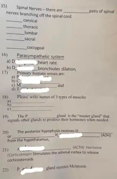 15)
Spinal Nerves-there are
__ pairs of spinal
nerves branching off the spinal cord.
__ cervical
__ thoracic
__ lumbar
__ sacral
__ _coccygeal
16) Parasympathetic system
a) D __ heart rate.
b) D __ bronchioles dilation.
17) Primary humans senses are:
a)
b) C	__
m
__ and
d) T
__
18) Please write names of 3 types of muscles
__
b) __
C) __
19) The P __ gland is the "master gland" that
signals other glands to produce ce their hormones when needed.
20) The posterior hypophysis receives O __
or __ H	(ADH)
from the hypothalamus,
21) A __
(ACTH) Hormone
(Corticotropin Stimulates the adrenal cortex to release
corticosteroids
22) p in gland secretes Melatonin