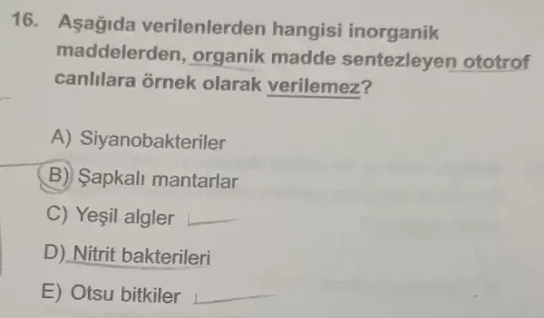 16. Asagida verilenlerder hangisi inorganik
maddelerden , organik madde sentezleyer ototrof
canlilara ornek olarak verilemez?
A)Siyanobakteriler
B) Sapkall mantarlar
C) Yesil algler __
D) Nitrit bakterileri
E) Otsu bitkiler __