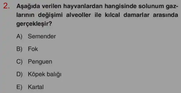 2. Aşagida verilen hayvanlard an hangisinde solunum gaz-
larinin degişimi alveoller ile kilca I damarlar arasinda
gerçekleşir?
A) Semender
B) Fok
C) Penguen
D) Kopek ballği
E) Kartal