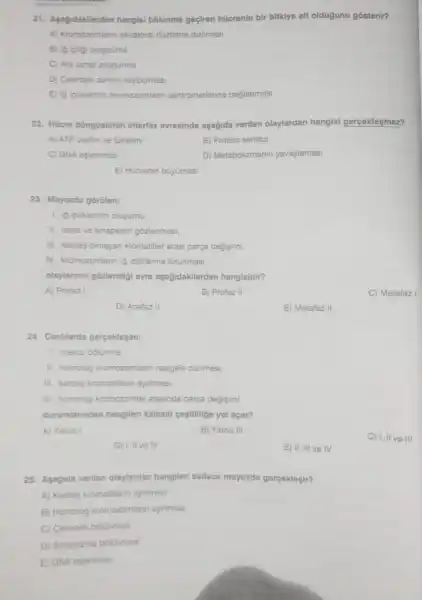 21. Asagidakilerden hangisi bolünme geçiren hücrenin bir bitkiye ait oldugunu gosterir?
A) Kromozomlann ekvatoral düzleme dizilmesi
B) lg ipligi olusturma
C) Ara lamel olusturma
D) Cekirdek zannin kaybolmasi
E) ig ipliklerinin kromozomlann sentromerlerine baglanmasi
22. Hücre dôngüsünün interfaz evresinde aşagida verilen olaylardan hangisi gerçeklesmez?
A) ATP Gretim ve tüketimi
B) Protein sentezi
C) DNA eşlenmesi
D) Metabolizmanin yavaslamas!
E) Hücrenin büyümesi
23. Mayozda gôrülen;
1. igliklerinin oluşumu.
II. tetrat ve sinapsisin gózlenmesi,
III. kardes olmayan kromatitler arasi parça degisimi,
IV. kromozomlarin ig pliklerine tutunmasi
olaylannin gozlendigi evre aşağidakilerden hangisidir?
A) Profaz I
B) Profaz II
C) Metafaz I
D) Anafaz II
E) Metafaz II
24. Canlilarda gerçeklesen;
1. mayoz bólunme
II. homolog kromozomlann rastgele dizilmesi.
III. kardes kromatitlerin aynimasi,
IV. homolog kromozomlar arasinda parça degişimi
durumlarindan hangileri kalitsal cesitilige yol açar?
A) Yalniz I
B) Yalniz III
C) I,IIV e III
D) I,II ve IV
E) II, III ve IV
25. Asagida verilen olaylardan hangileri sadece mayozda gerçeklesir?
A) Kardes kromatitlerin aynimasi
B) Homolog kromozomlann aynimasi
C) Cekirdek bólünmesi
D) Sitoplazma bólünmesi
E) DNA eslenmes