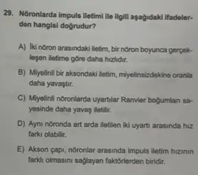 29. Noronlarda impuls iletimi lie ligili aşagidaki ifadeler-
den hangisi doğrudur?
A) Iki noron arasindaki Netim, bừ nôron boyunca gerpek-
lesen iletime gore daha hizlidir.
B) Miyelinli bir aksondaki letim, miyelinsizdekine oranla
daha yavaştir.
C) Miyelinil noronlarda uyartilar Ranvier bogumlan sa-
yesinde daha yavas iletilir.
D) Ayni noronda art arda iletilen iki uyarti arasinda hiz
farki olabilir.
E) Akson çapi, noronlar arasinda impuls lletim hizinin
farkli olmasini saglayan faktorlerden biridir.