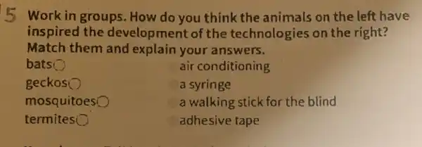 5 Work in groups . How do you think the animals on the left have
inspired the development of the technologies on the right?
Match them and explain your answers.
bats
air conditioning
geckos
a syringe
mosquitoes
a walking stick for the blind
termites
adhesive tape