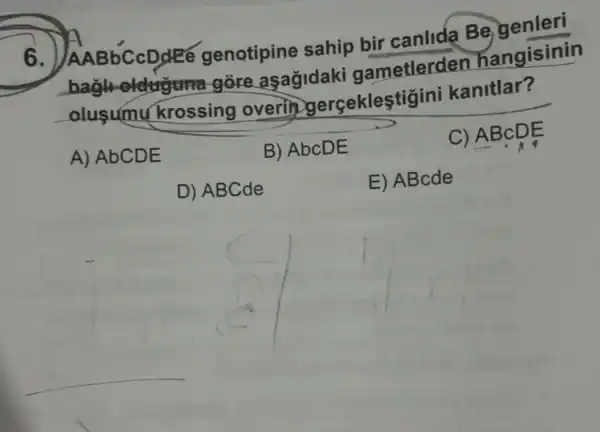 6 genotipine sahip bir canlida Be genleri
bagiroldiguna gore etlerden hangisinin
olusumu krossing overlingerçekleştigin i kanitlar?
A) AbCDE
B) AbcDE
C) ABcDE
D) ABCde
E) ABcde
__