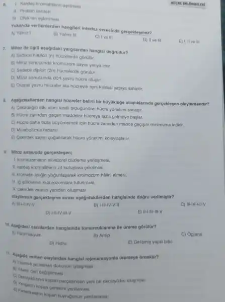 7. Mitoz ile ilgili aşagidaki yargilardan hangisi dogrudur?
A) Sadece haploit (n)hücrelerde górülür.
B) Mitoz sonucunda kromozom sayisi yariya iner.
C) Sadece diploit (2n)hücrelerde górülür.
D) Mitoz sonucunda dort yavru hücre olusur.
E) Oluşan yavru hücreler ata hücreyle ayni kalitsal yapiya sahiptir.
6. 1. Kardes kromatitlerin ayrilmasi
HOCRE B OLONMELERI
II. Protein sentezi
III DNA'nin eslenmesi
Yukarida verilenlerden hangileri interfaz evresinde gerçeklesmez?
A) Yalniz I
B) Yalniz III
C) Ive III
D) II ve III
E) 1, II ve III
8.Asagidakilerden hangisi hücreler belirli bir büyüklüge ulastiklarinda gerceklesen olaylardandir?
A)Cekirdegin etki alani kisitli oldugundan húcre yonetimi zorlaşir.
B) Hücre zarindan gecen maddeler hücreye fazla gelmeye baslar.
C) Hücre daha fazla bũyümemek için húcre zarindan madde gecisini minimuma indirir.
D)Metabolizma hizlanir.
E Cekirdek sayisi cogaltilarak hücre yonetimi kolaylastirilir.
9. Mitoz sirasinda gerçeklesen;
I kromozomlarin ekvatoral düzleme yerleşmesi,
II. kardes kromatitlerin zit kutuplara cekilmesi,
III. kromatin ipligin yogunlasarak kromozom hâlini almasi,
IV. ig ipliklerinin kromozomlara tutunmasi,
V. cekirdek zarinin yeniden olusmasi
olaylarinin gerceklesme sirasi aşagidakilerden hangisinde dogru verilmiştir?
A)III-I-II-IV-V
B)I-III-IV-V-II
C)III-IV-I-II-V
D)I-II-IV-III-V
E)II-I-IV-III-V
10 Agagidaki canlilardan hangisinde tomurcuklanma lle Greme gorülür?
A)Paramesyum
B) Amip
C) Oglena
D) Hidra
E)Gelismis yapili bitki
11. Asagida verilen olaylardan hangisi rejenerasyonla Gremeye ôrnektir?
A) insanda yaralanan dokunun iyilesmesi
B) Yilanin deri degistirmesi
D)kopan parçasindan yeni bir denizyildizi olugmasi
kopan cenesini yenilemesi
E)Kertenkelenin kopan kuyrugunun yenilenmesi