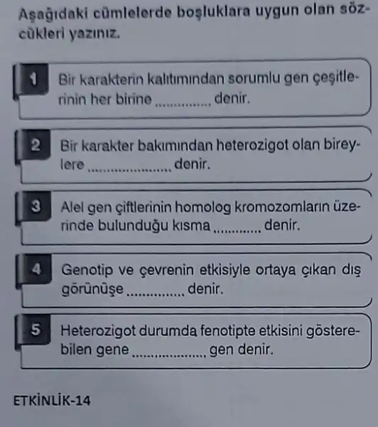 Aşağidaki cümlelerde bosluklara uygun olan sóz-
cükleri yaziniz.
1 Bir karakterin kalitmindan sorumlu gen cesitle
rinin her birine __ denir
2 Bir karakter bakimindan heterozigot olan birey-
lere __ denir.
3 Alel gen giftlerinin homolog kromozomlarin üze-
rinde bulunduğu kisma __ denir
4 Genotip ve cevrenin etkisiyle ortaya gikan dis
gorünüse __ denir
5 Heterozigot durumda fenotipte etkisini gostere-
bilen gene __ gen denir.
ETKiNLiK-14