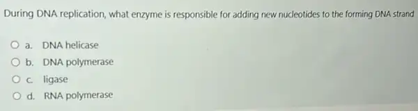 During DNA replication, what enzyme is responsible for adding new nucleotides to the forming DNA strand
a. DNA helicase
b. DNA polymerase
c. ligase
d. RNA polymerase