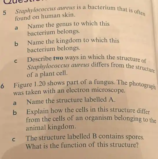 eue
5
Staphylococcus aureus is a bacterium that is often
found on human skin.
a
Name the genus to which this
bacterium belongs.
b
Name the kingdom to which this
bacterium belongs.
C Describe two ways in which the structure of
Staphylococcus aureus differs from the structure
of a plant cell.
Figure 1.20 shows part of a fungus The photograph
was taken with an electron microscope.
a
Name the structure labelled A.
b
from the cells of an organism belonging to the
Explain how the cells in this structure differ
animal kingdom.
C The structure labelled B contains spores.
What is the function of this structure?