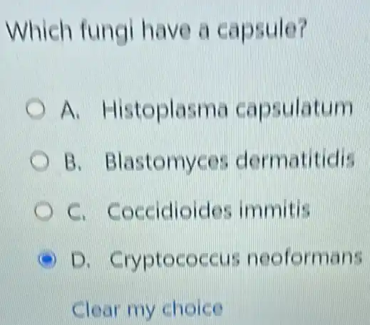 Which fung have a capsule?
A Histoplasma capsulatum
B . Blastomyces dermatitidis
c - Coccidioides immitis
D . Cryptococcus neoformans
Clear my choice