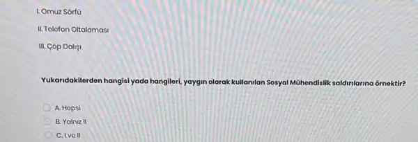 I. Omuz Sorf0
II. Tolofon Oltalamasi
III. Cóp Dalişi
Yukaridakilerden hangisi yada hangileri, yaygin olarak kullamilan Sosyal Mühendislik saldinlarina ôrnektir?
A. Hopsi
B. Yalniz II
C. Ivo II