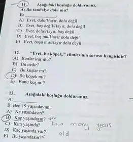 II) Ayagutaki boyluge dokhrusus.
A: Ba sandalye dolu mu?
It: __
A) Ever, dolu/Hayir, dolu degil
B) Evet, boy degil/Hay ir, dolu degil
C) Evet, dolu/Hayir, boy degil
D) Evet, bos muHay dolu degit
E) Evet, bogu mu/Hay dolu deyil
12.
"Ever, bu kopek." comlesinin sorusu hangisidir?
A) Bunlar kus mu?
B) Bu nedir?
C) Bu kuslar mi?
D) Bu kopek mi?
E) Bunu kus mi?
13.
Asagndaki boglugu doldurunur.
A: __
B: Ben 19
A) Ne yasindasin?
(B)Kacyasindasin? you
C) Kim yasinda?
D) Kaç yasinda var?
E) Bu yasindasm?K