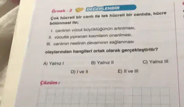 Ornek -2
Cok hüerell bir canli lle tek hücreli bir canlida, hücre
bólünmesi lle;
1. canlinin vùcut büyüklügünün artirilmasi,
II. vùcutta yipranan kisimlarin onarilmasi,
III. canlinin neslinin devaminin saglanmasi
olaylarindan hangileri ortak olarak gerçekleştirilir?
A) Yalniz I
B) Yalniz II
C) Yalniz III
D) Ive II
E) II ve III
Cózum :
__