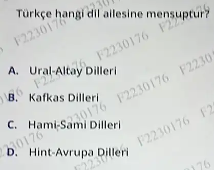 Tùrkçe hangi dil ailesine mensuptur?
A. Ural-Altay Dilleri
B. Kafkas Dilleri
C. Hami-Sami Dilleri
D. Hint-Avrupa Dilleri