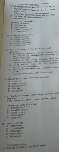 10. Which of the following is false about smooth muscle?
striated and cardine muscle.
C. Smooth muscle is specialized for slow, steady
contraction.
D. The cells show sitriations in longitudinal sections.
E. Mer injury, viable smooth muscle cells can undergo
mitosis and replace the damaged tissue.
11. Neurons in retina are example of __
A. Multipolar neurons
B. Bipolar neurons
c Unipolar neurons
D.
Pseudounipolar neurons
E. Anaxonic neurons
12. Nissle bodies are composed of __
B. sER and lysosomes
A. sER and polysomes
C. rER and polysomes
D. rER and mitochondria
E. SER and microtubules
13. Which of the following is false about the functions of
astrocytes?
A. Extending processes with expanded perivascular fect
that cover capillary endothelial cells and contribute to
the blood brain barier.
B. Forming the glial limiting membrane,lining the
meninges at the external central nervous system surface.
C. Moving nutrients, wastes, and other metabolites
between neurons and capillaries
D. Regulating the extracellular ionic concentrations around
neurons.
E. Producing myelin sheet in central nervous system
14. Macrophages in central nervous system are called __
A. Astrocytes
B. Oligodendrocytes
C.Ependymal cells
D Microglia
E. Satellite cells
15.1. They have elongated conical shape, and are heavil
keratinized
II. They provide friction to help move food during chewing.
Whose features are given above?
A. Filliform papillae
B. Fungiform papillao
C. Vallate papillae
D. Foliate papillae
E. Taste buds
16. Dentine is made by __
A. Ameloblasts
B. Chondroblasts
C.Osteoblasts
D Odontoblasts
E. Osteoklasts
17. What is rigor mortis?
18. What are the roles of Golgi tendon organ?