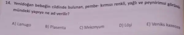 14. Yenidogan bebegin cildinde bulunan pembe-kirmizi renkli yagli ve peynirimsi gorünü.
mündeki yaprya ne ad verilir?
E) Veniks kazeoza
A) Lanugo
B) Plasenta
C) Mekonyum
D) Losi