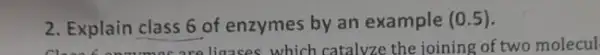 2. Explain class 6 of enzymes by an example (0.5)
ligases which catalvze the joining of two molecul