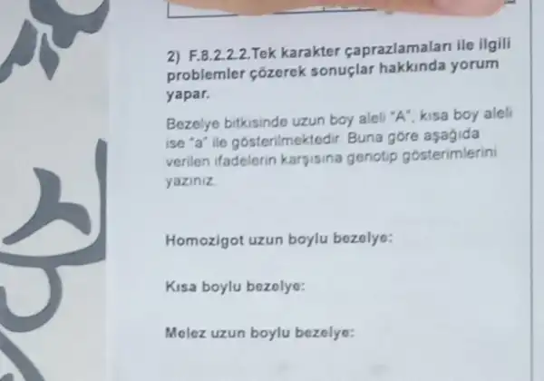 2) F.8.2.22.Tek karakter caprazlamalan ile ilgili
problemler cozerek sonuçlar hakkinda yorum
yapar.
Bezelye bitkisindo uzun boy aleli "A", kisa boy aleli
ise "a" ile gósterilmektedir Buna gore aşagida
verilen ifadelerin karsisina genotip gosterimlerini
yaziniz
Homozigot uzun boylu bozolye:
Kisa boylu bezolye:
Molez uzun boylu bezelye: