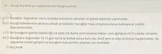 24- Buzagi buyutme için aşağdakilerden hangisi yanlistr.
a) 0 Buzaglar doğduktan sonra mutlaka kolostrum almalidir ve gobek bakimlari yapilmalidir.
b) Buzag bolmelerinin alti kuru olmalive bolmeler buzaglar hava ceryanina maruz kalmayacak sekilde
düzenlenmelidir.
c) Bir buzaginin günluk tuketeceg sút yada sút ikame yemi (mama) miktari canli agirliganin % 10'u kadar olmalidir.
d) Buzaglara dogumdan 10-15 gùn sonra lyi kaliteli yonca kuru otu, kesif yem ve Silay verilmeye baslanmalidr. Bu
uygulama rumen gelisimi ve buzaginin kati yemlere alismasi liçin onemlidir.
Bos birak