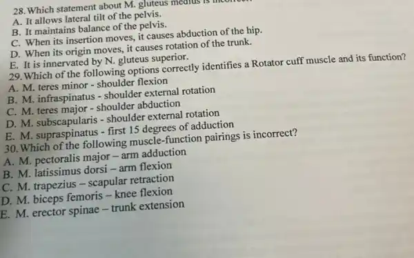 28.Which statement about M. gluteus mealus 15
A. It allows lateral tilt of the pelvis.
B. It maintains balance of the pelvis.
C. When its insertion moves, it causes abduction of the hip.
D. When its origin moves, it causes rotation of the trunk.
E. It is innervated by N. gluteus superior.
29.Which of the following options correctly identifies a Rotator cuff muscle and its function?
A. M. teres minor - shoulder flexion
B. M. infraspinatus - shoulder external rotation
C. M. teres major - shoulder abduction
D. M. subscapularis - shoulder external rotation
E. M. supraspinatus - first 15 degrees of adduction
30. Which of the following muscle-function pairings is incorrect?
A. M. pectoralis major - arm adduction
B. M. latissimus dorsi - arm flexion
C. M. trapezius-scapular retraction
D. M. biceps femoris - knee flexion
E. M. erector spinae - trunk extension