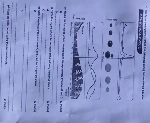 4. The figure below shows changes that take place during menstrual cycle in human.
MENTRUAL CYCLE
a) Name the hormones whose concentrations aro represented by curves B and D . (2 marks) B
D
b) Name the organs where the secretion of the following hormones occurs
(2 marks)
A
C
c) State the effects of the hormones C and D on the lining of the uterus.
(2 marks)
C
D