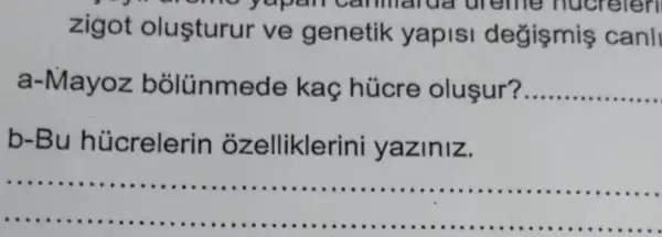 7" arome yapan canmarua ureme nucrelen
zigot olusturur ve genetik yapisi degismis canll
a-Mayoz bolünmede kaç húcre olusur? __
b-Bu hủcrelerin ozelliklerini yaziniz.
__
mmm