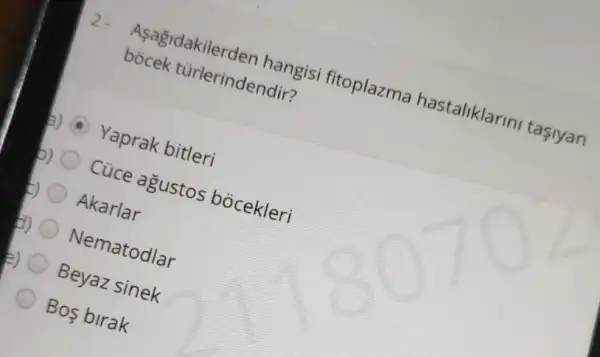 Aşagidakilerden hangisi fitoplazma hastaliklarin tasiyan
bocek türlerindendir?
a) Yaprak bitleri
b) 0 Cúce agustos bocekleri
Akarlar
b) Nematodlar
E) Beyaz sinek
Bos birak