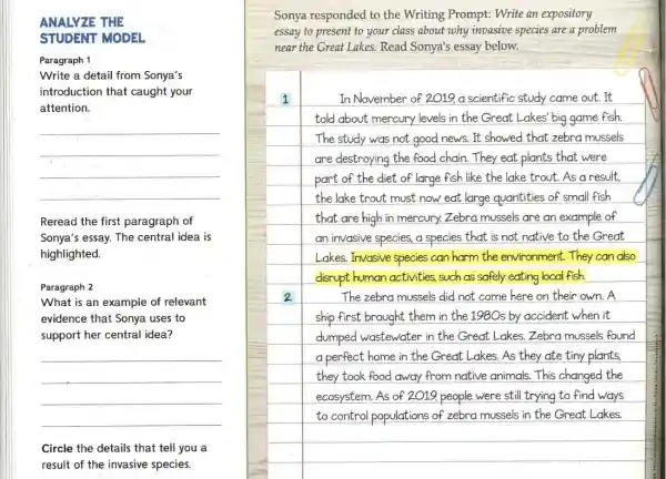 ANALYZE THE
STUDENT MODEL
Paragraph 1
Write a detail from Sonya's
introduction that caught your
attention.
__
Reread the first paragraph of
Sonya's essay. The central idea is
highlighted.
Paragraph 2
What is an example of relevant
evidence that Sonya uses to
support her central idea?
__
Circle the details that tell you a
result of the invasive species.
Sonya responded to the Writing Prompt:Write an expository
essay to present to your class about why invasive species are a problem
near the Great Lakes.Read Sonya's essay below.
1
In November of 2019 a scientific study came out.It
told about mercury levels in the Great Lakes' big game fish.
The study was not good news. It showed that zebra mussels
are destroying the food chain.They eat plants that were
part of the diet of large fish like the lake trout.As a result.
the lake trout must now eat large quantities of small fish
that are high in mercury.Zebra mussels are an example of
an invasive species, a species that is not native to the Great
Lakes. Invasive species can harm the environment. They can also
disrupt human activities,such as safely eating local fish.
The zebra mussels did not come here on their own.A
ship first brought them in the 1980s by accident when it
dumped wastewate in the Great Lakes Zebra mussels found
a perfect home in the Great Lakes.As they ate tiny plants,
took food away from native animals.This changed the
ecosystem. As of 2019. people were still trying to find ways
to control populatior is of zebra mussels in the Great Lakes.
square