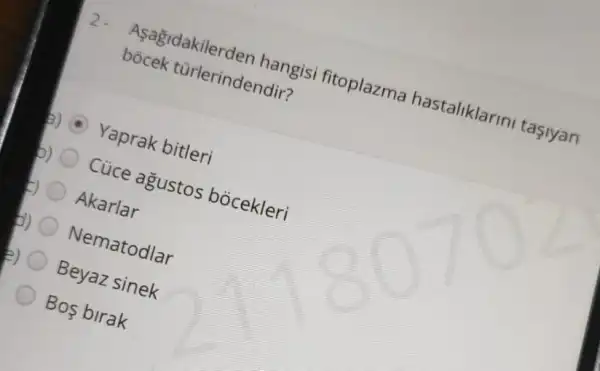 Asagidakilerden hangisi fitoplazma hastaliklarin tasiyan
bocek türlerindendir?
5) Yaprak bitleri
b) Cúce agustos bocekleri
Akarlar
b) Nematodlar
E) Beyaz sinek
Bos birak