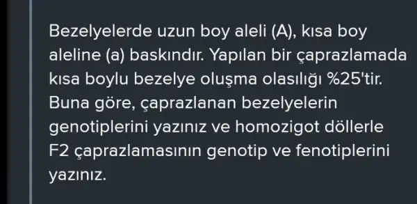 Bezelyelerde uzun boy aleli (A), kisa boy
aleline (a)baskindir.Yapilan bir çaprazlamada
kisa boylu bezelye olusma olasiliği %25'tir.
Buna gòre,, caprazlanan bezelyelerin
genotiplerini yaziniz ve homozigot dollerle
F2 çaprazlamasinin genotip ve fenotiplerini
yaziniz.