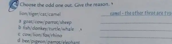 (A) Choose the odd one out. Give the reason.
lion/tiger/cat/camel
__
a goat/cow/parrot/sheep
__
b fish/donkey/turtle/whale
__
C cow/lion/fox/rhino
d bee/pigeon parrot/elephant
__