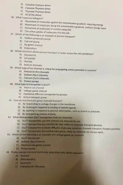 A) Cytosine-Cytosine dimer
B) Cytosine-Thymine dimer
C) Thymine-Thymine dimer
D) All of the above
36. What is passive transport?
A) Movement of molecules against the concentration gradient requiring energy.
B) Movement of molecules along the concentration gradient, without energy input.
C) Movement of molecules in vesicles using ATP.
D) The active uptake of molecules into the cell.
37. Which of the following is an example of passive transport?
A) Sodium-potassium pump
B) Calcium pump
C) Na gated channel
D) Endocytosis
38. Which structure allows passive transport of water across the cell membrane?
A) Aquaporins
B) Ion pumps
C) Vesicles
D) Sodium channels
39. Which type of ion channel is critical for propagating action potentials in neurons?
A) Potassium (K+) channels
B) Sodium (Na+) channels
C) Calcium (Ca2+) channels
D) Proton pumps
40. What type of transporter is GLUT?
A) Passive ion channel
B) Voltage-gated channel
C) Facilitated diffusion transporter for glucose
D) Active transport pump
41. How do mechanically gated channels function?
A) By responding to voltage changes in the membrane.
B) By opening in response to binding of specific ligands.
C) By opening in response to physical deformation such as stretch or pressure.
D) By transporting protons actively.
42. What distinguishes GLUT transporters from ion channels?
A) GLUT transporters use ATP, whereas ion channels do not.
B) GLUT transporters are selective for ions, while ion channels transport glucose.
C) GLUT transporters facilitate diffusion of glucose, while ion channels transport charged particles.
D) GLUT transporters are mechanically gated, while ion channels are always open.
43. Which of the following is an example of a voltage-gated ion channel?
A) GLUT transporter
B) Sodium (Na+) channel
C) Mechanically gated channel
D) Proton pump
44. Proton pumps are most commonly associated with which organelle?
A) Nucleus
B) Mitochondria
C) Lysosome
D) Endoplasmic reticulum