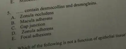 E.
5. __ contain desmocollins and desmogleins.
A. Zonula occludens
B. Macula adherens
C. Gap junction
D. Zonula adherens
E. Focal adhesions
which of the following is not a function of epithelial tissue