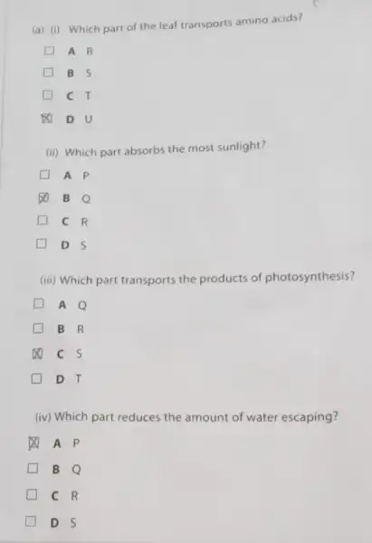 (a) (i) Which part of the leaf transports amino acids?
D A R
B S
c T
DU
(ii) Which part absorbs the most sunlight?
A P
B o
C R
D S
(iii) Which part transports the products of photosynthesis?
A
B R
c s
D. T
(iv) Which part reduces the amount of water escaping?
A P
B O