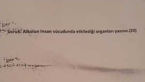 i Soru4: Alkolun Insan vücudunda etkiledigi organlari yaziniz.(20)