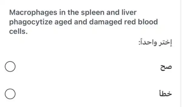 Macrophages in the spleen and liver
phagocytize aged and damaged red blood
cells.
is 19 jis!
ihi