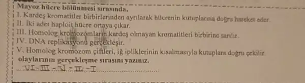 Mayoz hticre bólünmesi slrasinda,
11. Kardes kromatitler birbirlerinden ayrilarak hilcrenin kutuplarina dogru hareket eder.
i II. Iki adet haploit hticre ortaya cikar.
III. Homolog kromozomlarin kardes olmayan kromatitleri birbirine sarilir.
IV. DNA replikasyonu gerceklesir.
V. Homolog kromozom cifleri ig ipliklerinin kisalmasiyla kutuplara dogru cekilir.
olaylarinin gerceklesme strasini yaziniz.
__ -I