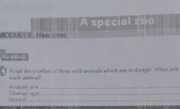 MODUUE 2: Free time
Restate
Read the profiles of three wild animals which are in danger. What are
each animal?
Arabian ora __
Siberian tiger
Ostrich