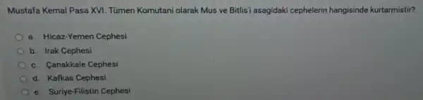 Mustafa Kemal Pasa XVI. Tümen Komutani olarak Mus ve Bitlis'asagidaki cephelerin hangisinde kurtarmistir?
a. Hicaz-Yemen Cephesi
b. Irak Cephesi
c. Canakkale Cephesi
d. Kafkas Cephesi
e. Suriye-Filistin Cephesi