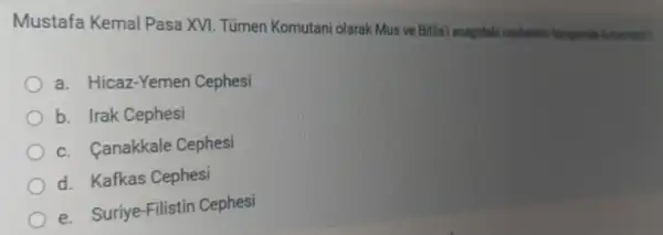 Mustafa Kemal Pasa XVI. Tümen Komutani olarak Mus ve Bitlisi asagidak cephetern hanging
a. Hicaz-Yemen Cephesi
b. Irak Cephesi
c. Canakkale Cephesi
d. Kafkas Cephesi
e. Suriye-Filistin Cephesi