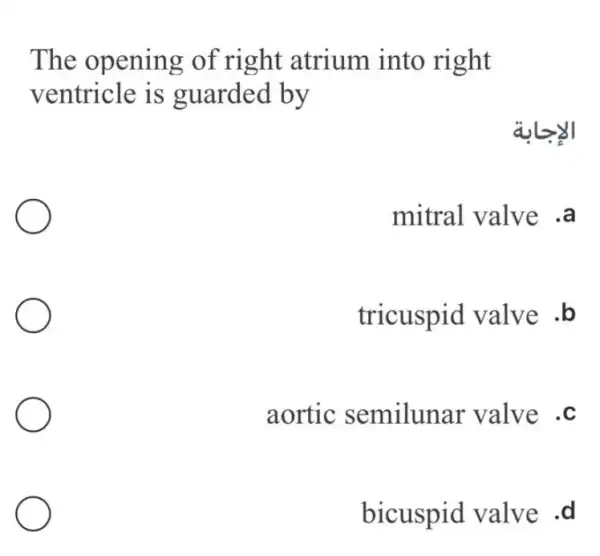 The opening of right atrium into right
ventricle is guarded by
alzy
mitral valve .a
tricuspid valve .b
aortic semilunar valve .c
bicuspid valve .d