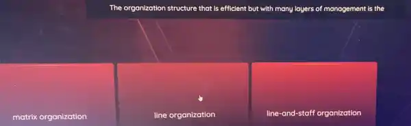 The organization structure that is efficient but with many layers of management is the
matrix organization
line organization
line-and-staff organization