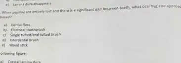 When papillac are entirely lost and there is a significant gap between teeth, what oral hygiene approac
twised?
a) Dental floss
b) Electrical toothbrush
c) Single tulted/end tufted brush
d) Interdental brush
e) Wood stick
e) Lamina dura disappears
ollowing figure:
a) Crestal lamina dura
