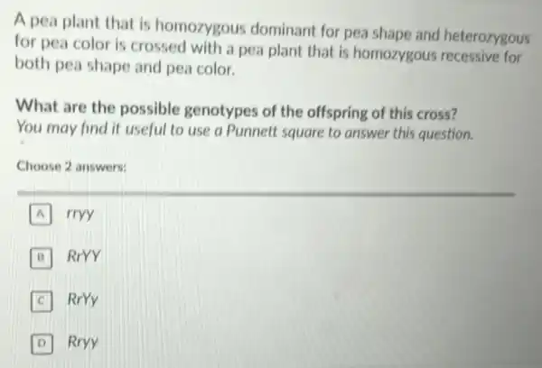 A pea plant that is homozygous dominant for pea shape and heterozygous
for pea color is crossed with a pea plant that is homozygous recessive for
both pea shape and pea color.
What are the possible genotypes of the offspring of this cross?
You may find it useful to use a Punnett square to answer this question.
Choose 2 answers:
A rryy A
B RrYY
RrYY
D Rryy