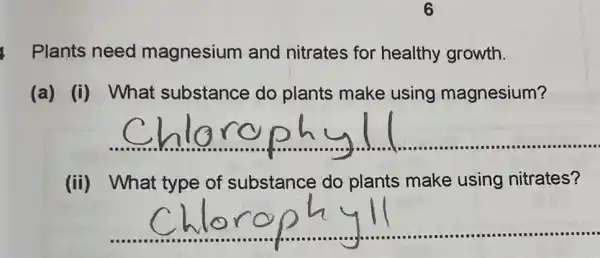 Plants need magnesium and nitrates for healthy growth.
(a) (i) What substance do plants make using magnesium?
__
....
(ii) What type of substance do plants make using nitrates?
__