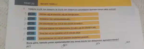 TEST 23
3.
Asagida küçük kan dolasimi ile büyük kan dolaşiminin gerceklesme asamalar karisik hâlde verilmiştir.
Kiri kan sag alt odaciktan sağ Ost odaciğa geçer.
Temizlenen kan sol Gst odaciga gelir.
Sol odaciklardan kan aortile tüm vocuda pompalanir
Vücuttaki kirlenen kan toplardamarlar ile kalbin sad üst odacigina gelir.
.
Temiz kan sol Ost odaciktan sol alt odacióa gecer.
Kan temizlemek için sag alt odaciktan akcigerlere gonderilir.
Buna gore, tabloda yazan aciklamalardan kaç tanesi büyük kan dolasiminin asamalarindandir?
A) 2
BECERI TEMELLI