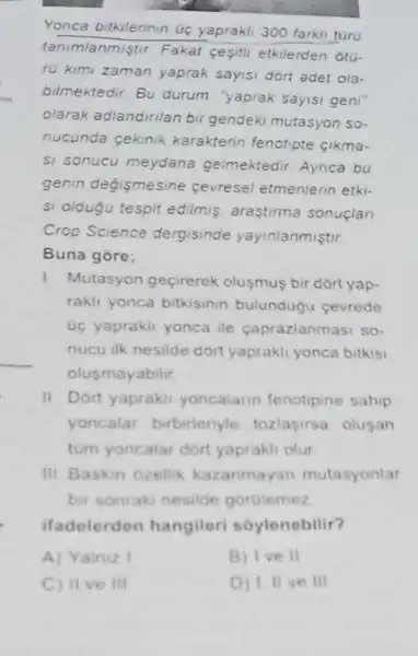 Yonca bitkilerinin ac yaprakli 300 farkil turu
tanimlanmiştur Fakat cesith etkilerden otu-
ru kimi zaman yaprak sayisi dort adet ola-
bilmektedir. Bu durum "yaprak sayisi geni
olarak adlandinian bir gendeki mutasyon so-
nucunda cekinik karakterin fenotipte cikma-
si sonucu meydana gelmektedir. Aynca bu
genin degismesine cevresel etmenlenn etki-
si oldugu tespit edilmis araştirma sonuçlan
Crop Science dergisinde yayinlanmistir
Buna gore;
1. Mutasyon geçirerek olusmus bir dort yap-
rakli yonca bitkisinin bulundugu cevrede
Oc yaprakli yonca ile caprazlanmasi so-
nucu ilk nesilde dort yaprakli yonca bitkisi
olusmayabilir
II. Dort yapraki yoncalarin fenotipine sahip
yoncalar birbirleriyle tozlasirsa olusan
tum yoncalar dor yaprakli olur
III. Baskin ozellik kazanmayan mutasyonlar
bir sonraki nesilde gorulemez
ifadelerden hangiler soylenebilir?
A) Yainiz I
B) Ive II
C) II ve III
D) 1. II ve III